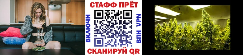 Купить Каргат Бошки Шишки Галлюциногенные грибы ГАШ Alpha-PVP