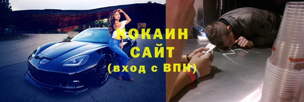 стафф Алексин