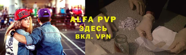 стафф Алексин
