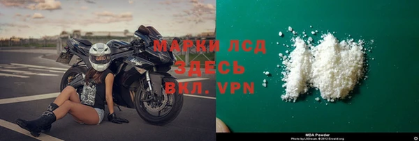 PSILOCYBIN Алзамай