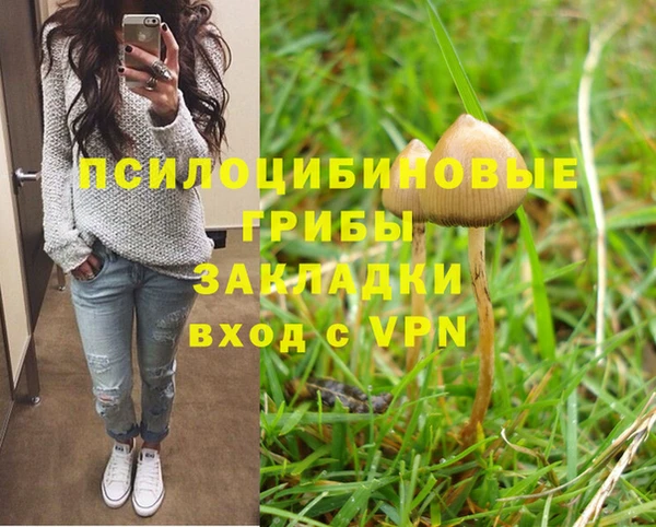 гашик Россошь