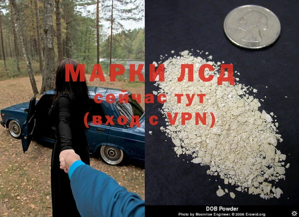 стафф Алексин