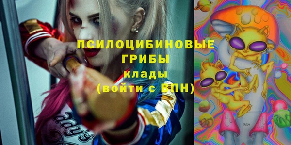 стафф Алексин