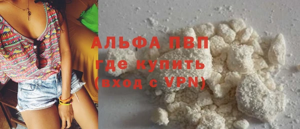 стафф Алексин
