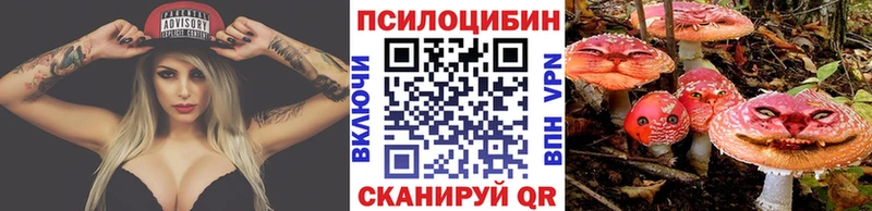 Псилоцибиновые грибы ЛСД мега как зайти Каргат